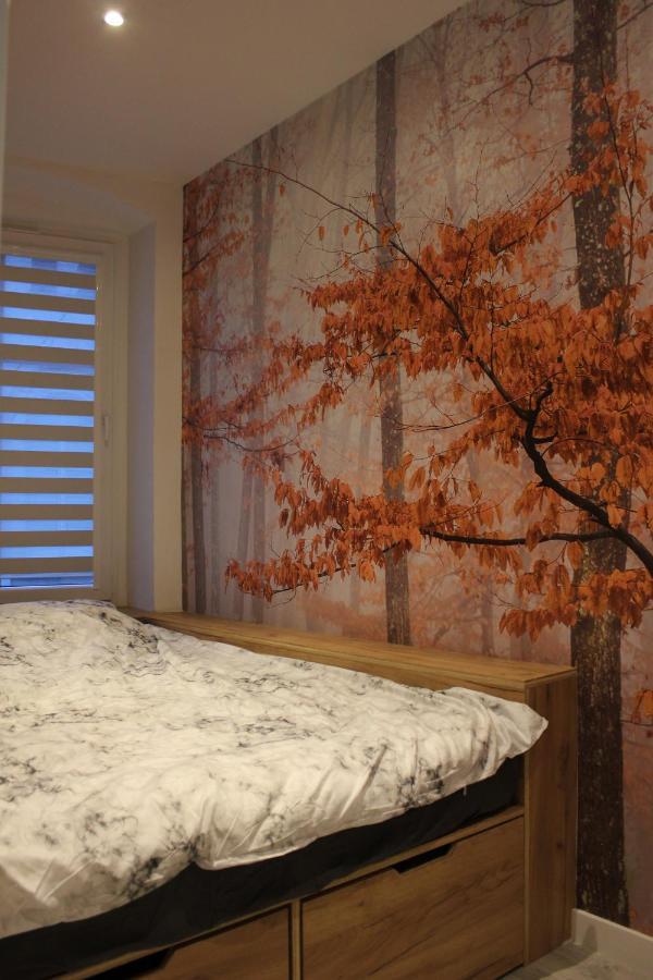 Apartament Rynek Nowa Ruda Zewnętrze zdjęcie